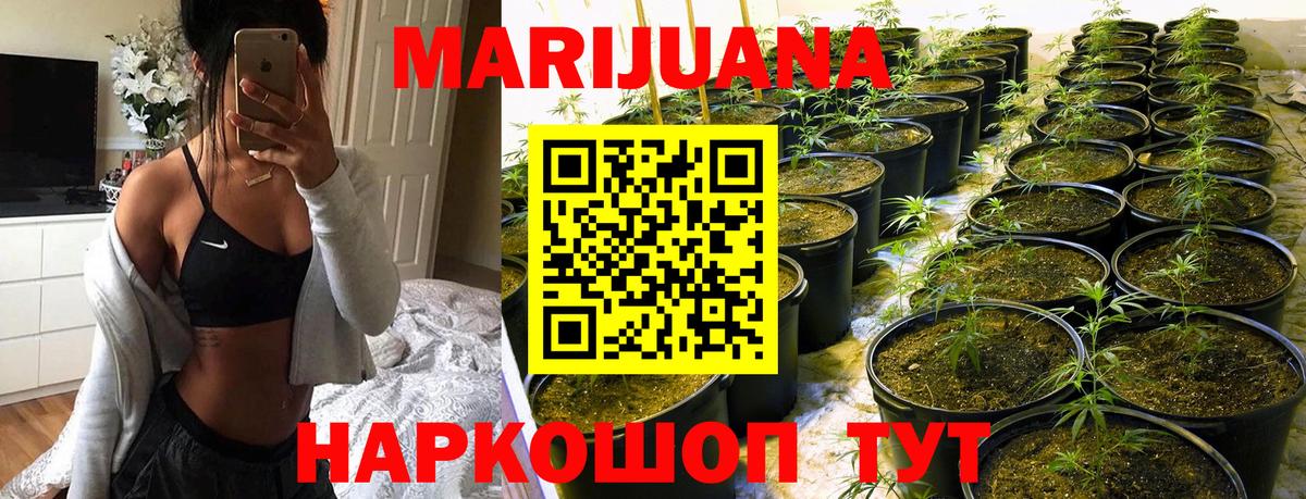 МАРИХУАНА семена  Бошки Шишки гибрид  Михайловка  Вход с VPN  Бошки Шишки конопля 